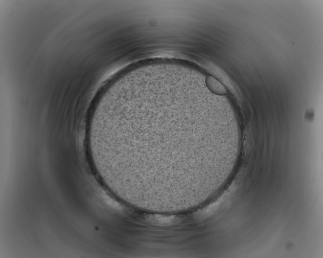 X0000100420831200807032059