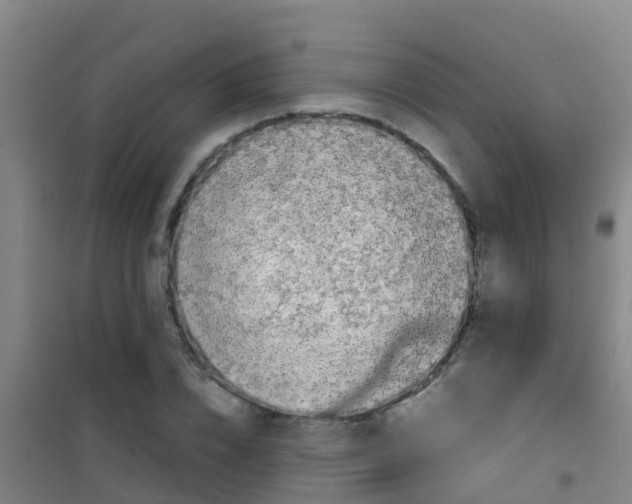 X0000100420832200807032059