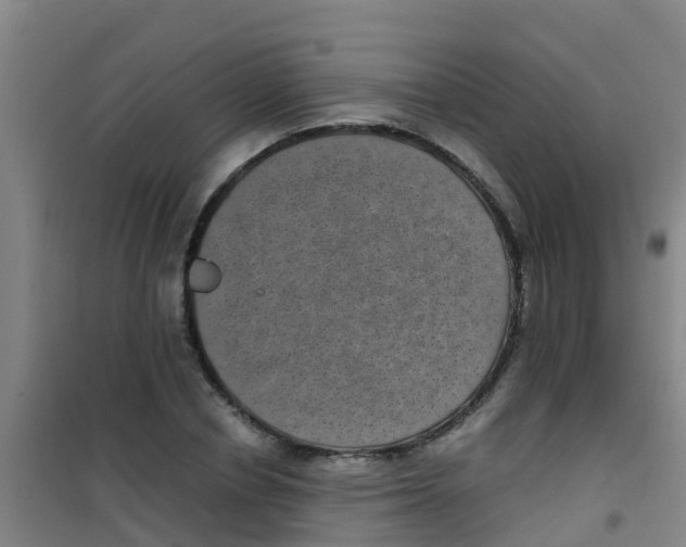 X0000100420834200807032059