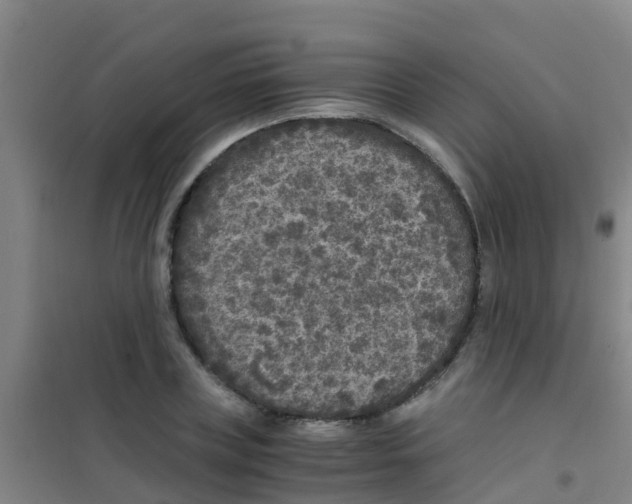 X0000100420835200807032059