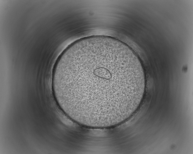 X0000100420836200807032059