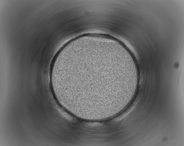 X0000100420837200807032059