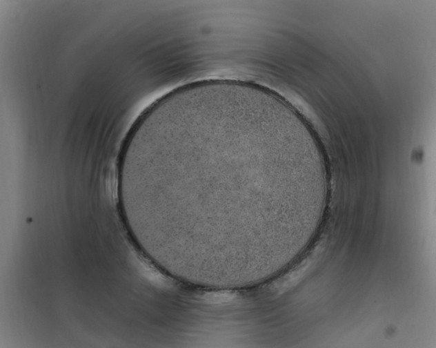 X0000100420838200807032059