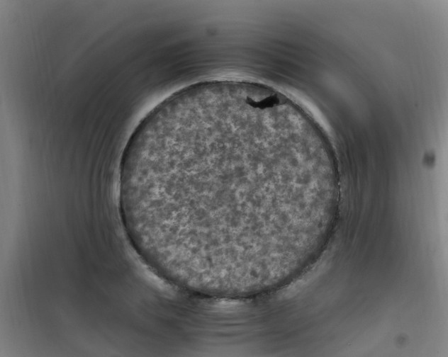 X0000100420839200807032059