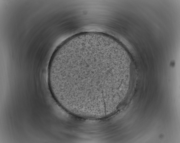 X0000100420840200807032059