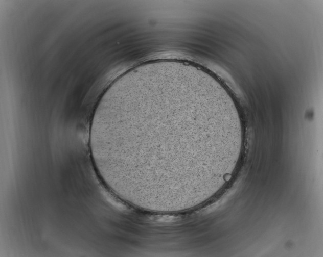 X0000100420841200807032059