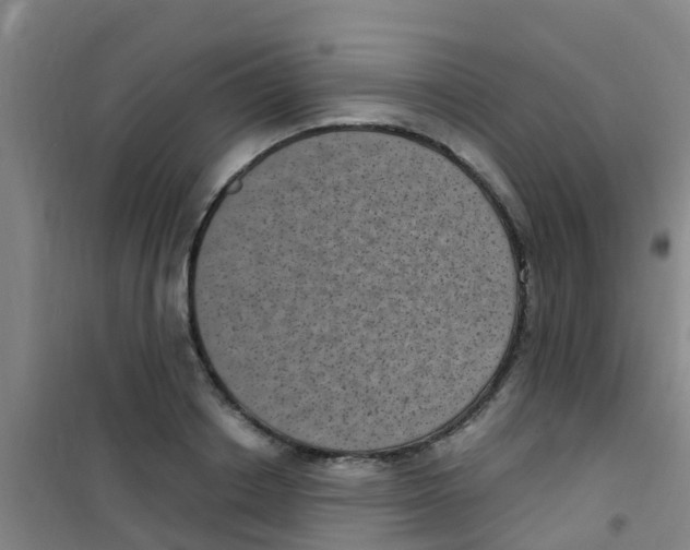 X0000100420842200807032059