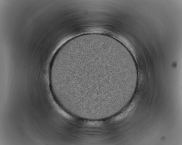 X0000100420843200807032059