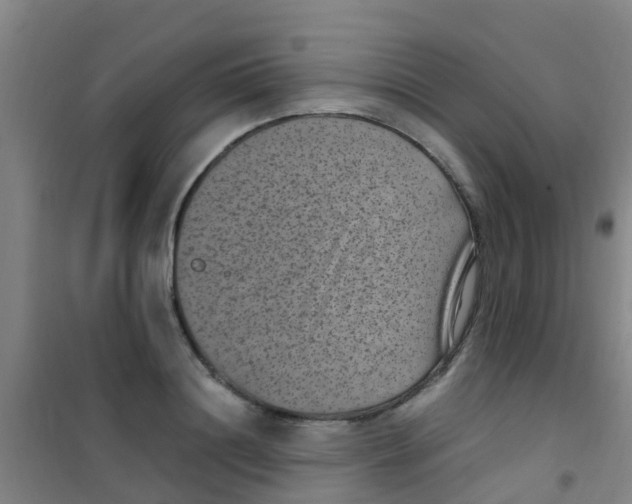 X0000100420844200807032059