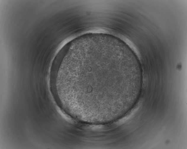 X0000100420845200807032059