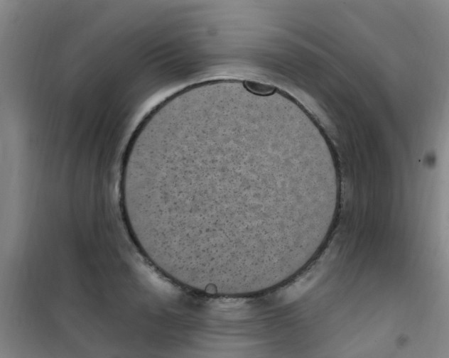 X0000100420846200807032059