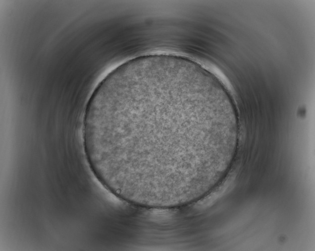 X0000100420847200807032059