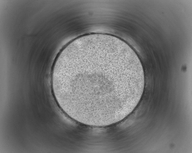 X0000100420848200807032059