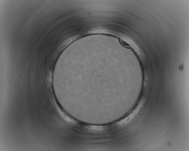 X0000100420849200807032059