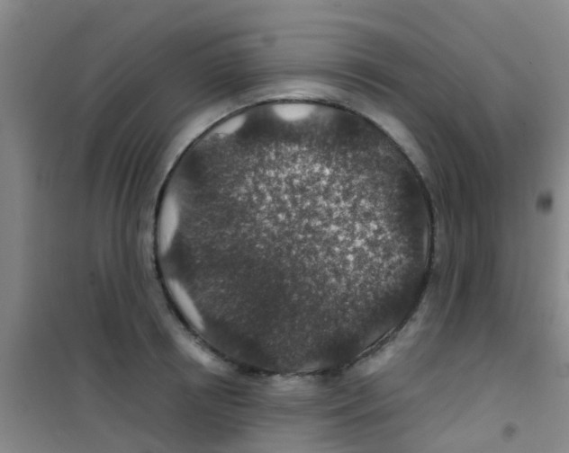 X0000100420850200807032059