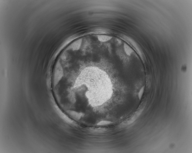 X0000100420851200807032059