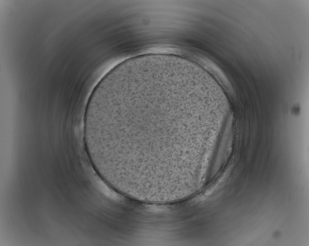 X0000100420852200807032059