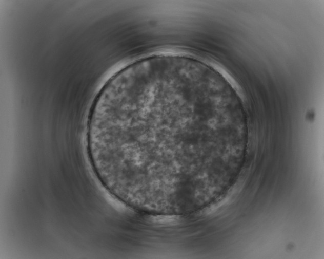 X0000100420853200807032059