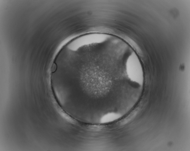 X0000100420854200807032059