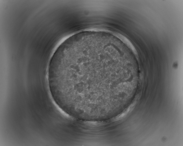 X0000100420855200807032059