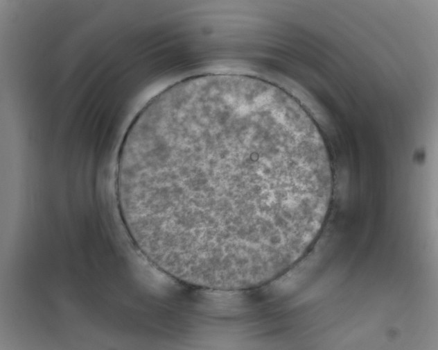 X0000100420856200807032059