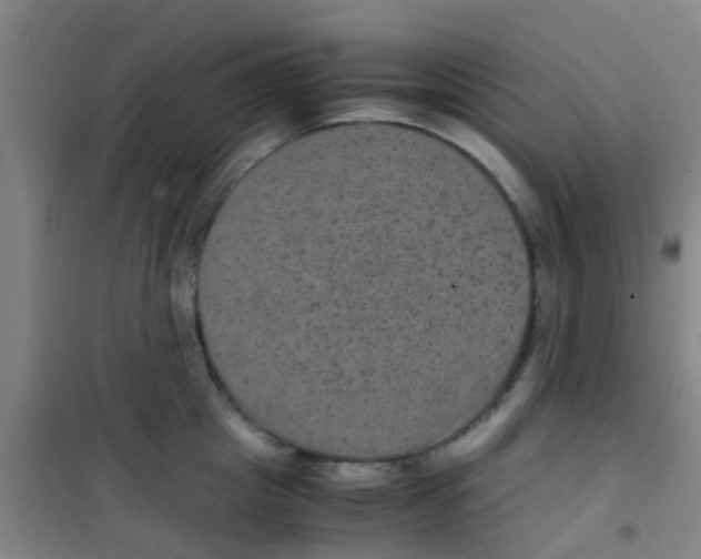 X0000100420857200807032059