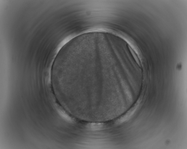 X0000100420858200807032059