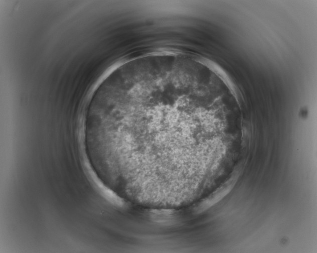 X0000100420859200807032059