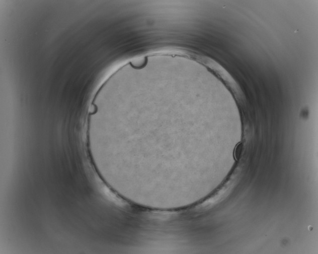 X0000100420860200807032059