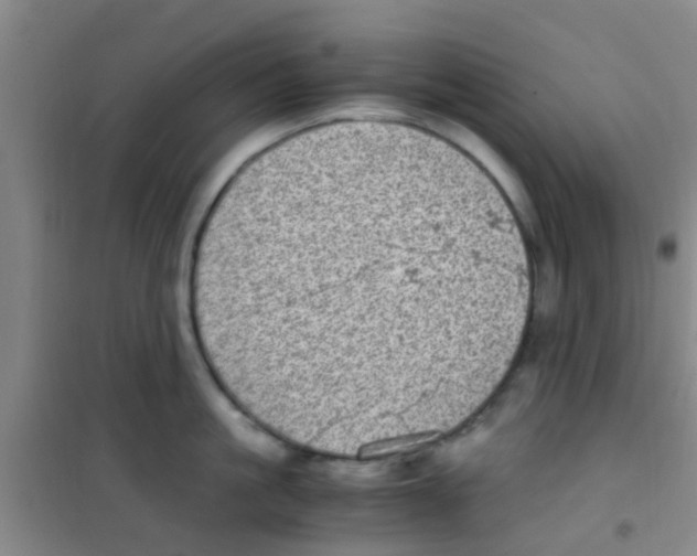 X0000100420861200807032059