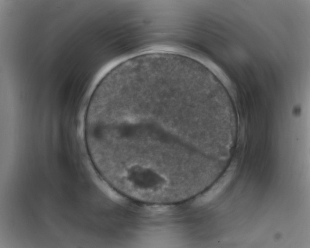 X0000100420862200807032059