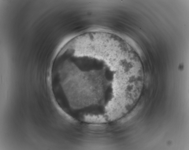 X0000100420863200807032059