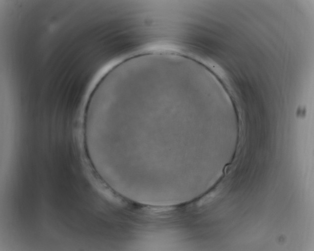 X0000100420864200807032059