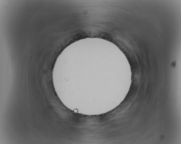 X0000100420865200807032058