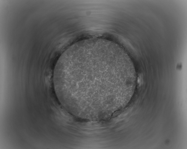 X0000100420867200807032058