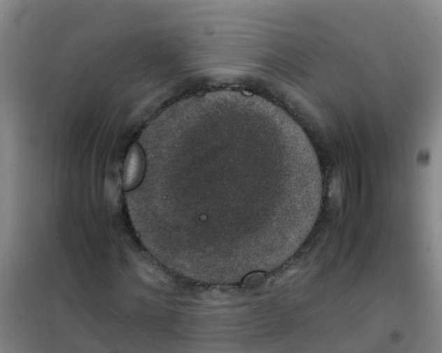 X0000100420868200807032058