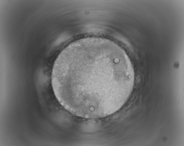 X0000100420869200807032058