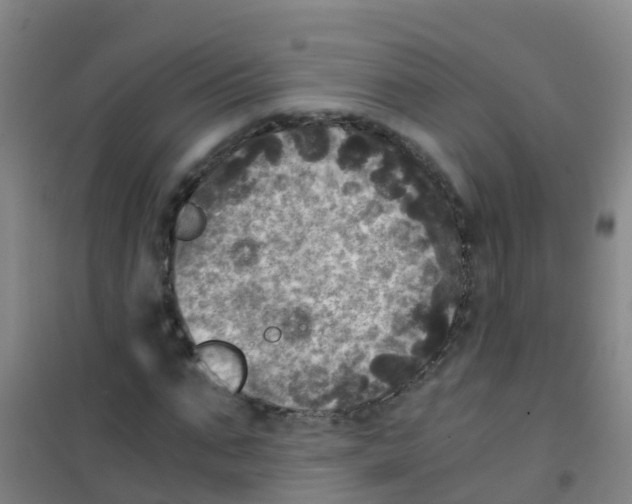 X0000100420871200807032058