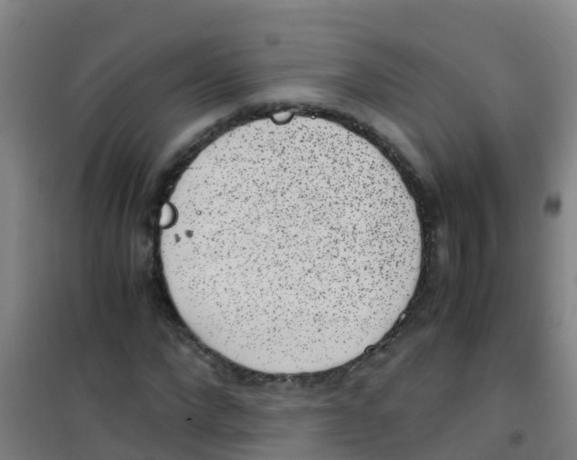 X0000100420872200807032058