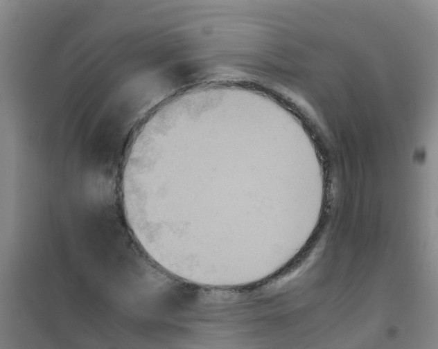 X0000100420873200807032058