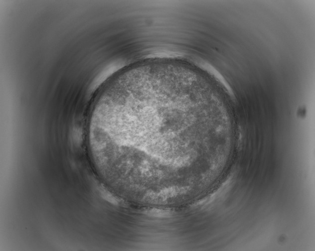 X0000100420874200807032058