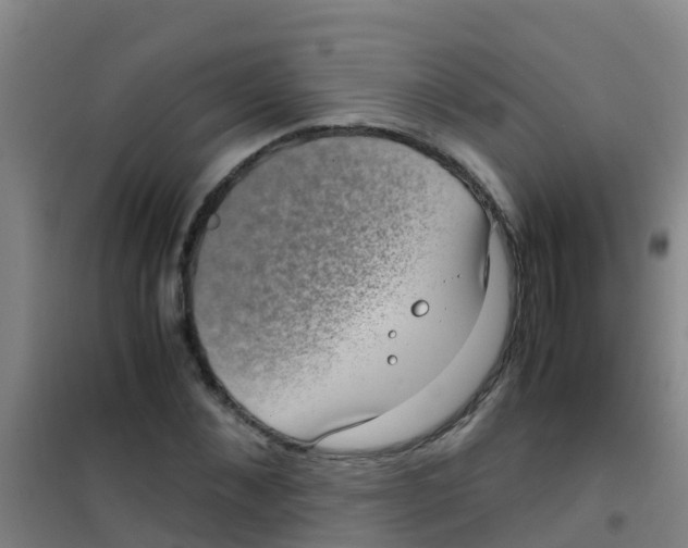 X0000100420876200807032058