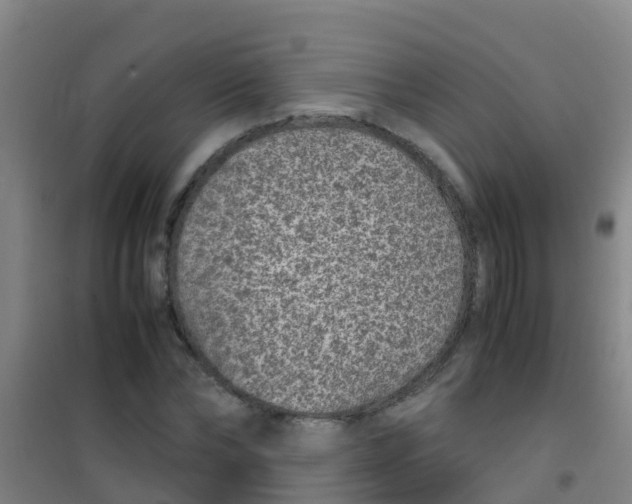 X0000100420878200807032058