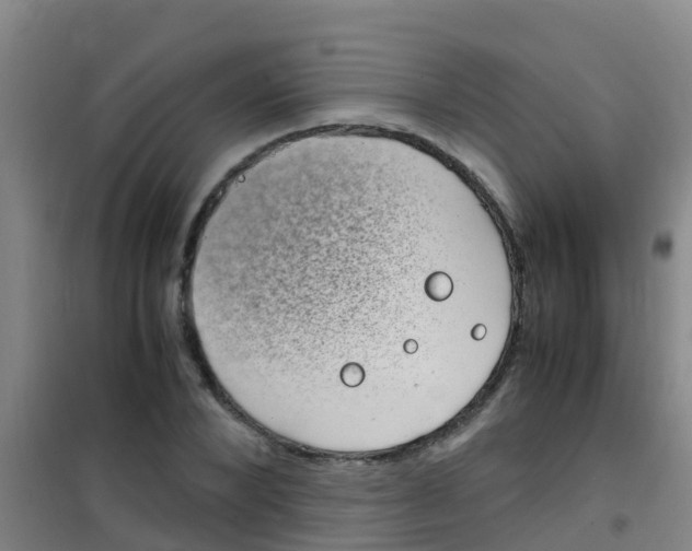 X0000100420880200807032058