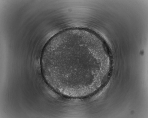 X0000100420881200807032058