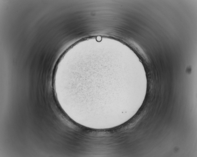 X0000100420884200807032058