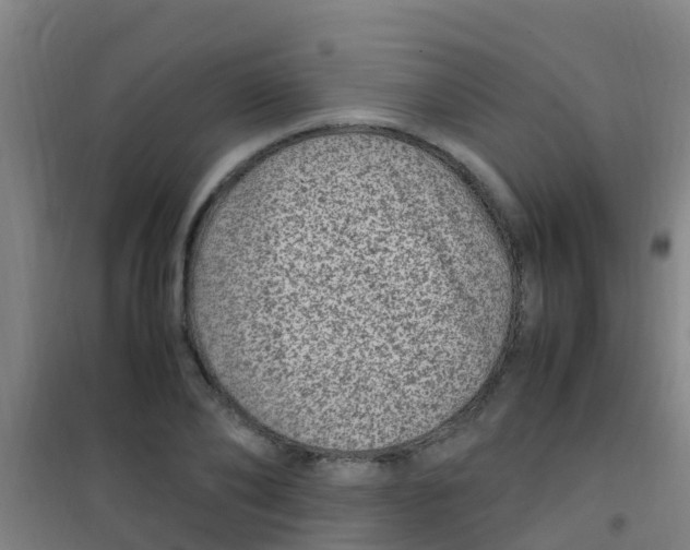 X0000100420886200807032058