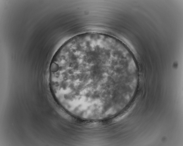 X0000100420891200807032058