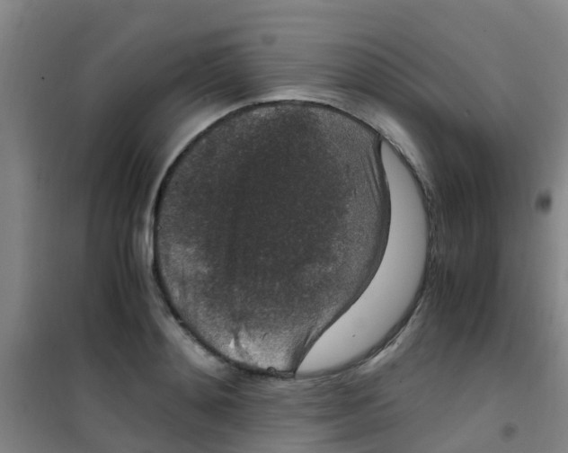 X0000100420892200807032058