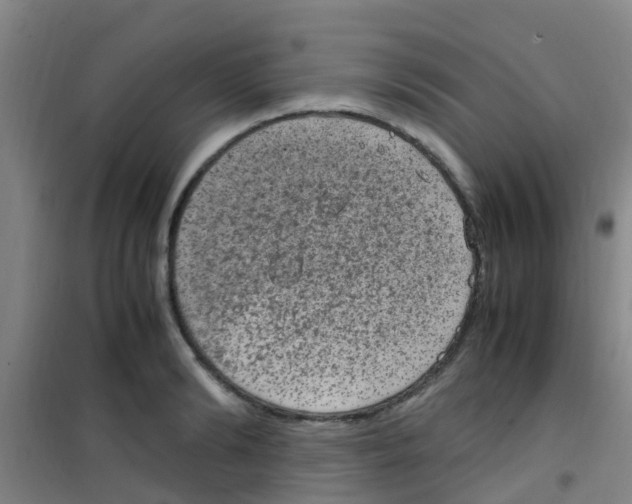 X0000100420894200807032058